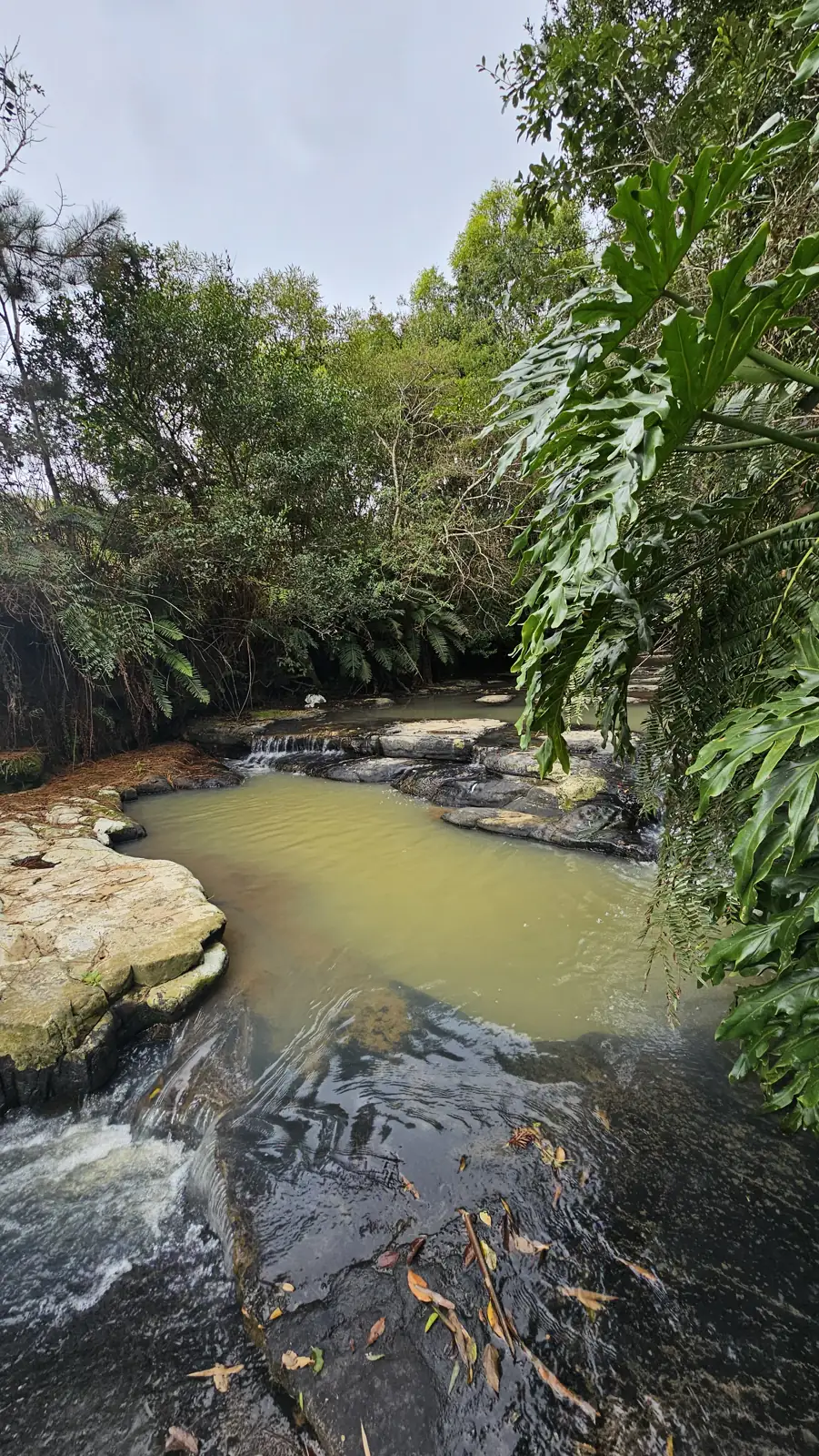 trilha e rio