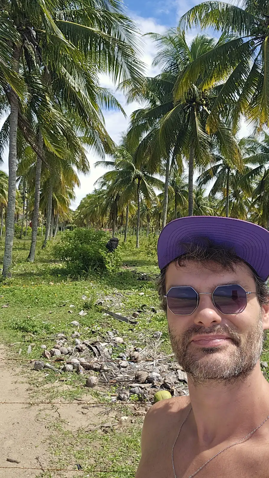 Vini no caminho de coqueiros até a praia