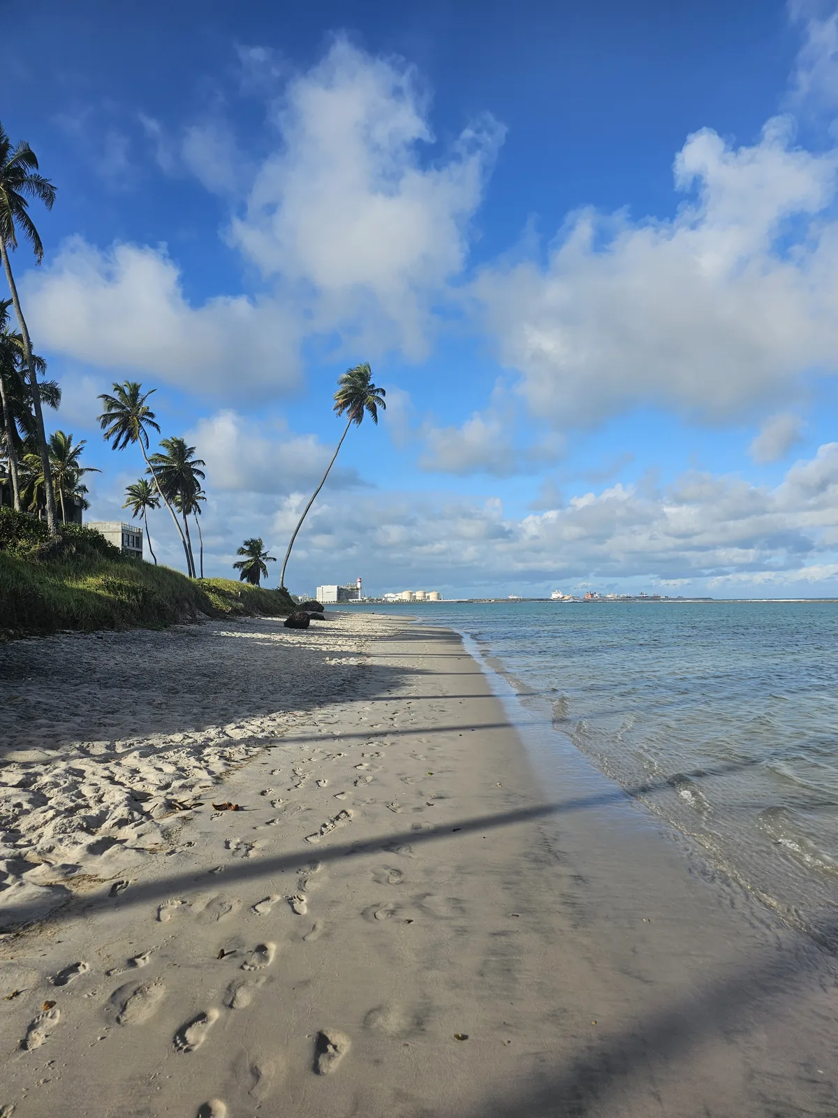 Praia de areia branca e coqueiros em Muro Alto, Porto de Galinhas